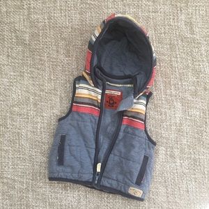Hooded vest